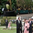 2009-05-05<br/>
<b>Queen visits Kew Gardens<br/>
Titan Arum in flower</b>
