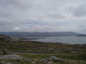 118.jpg - 2010:08:08 12:41:01