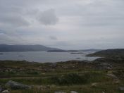 119.jpg - 2010:08:08 12:41:06