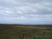 155.jpg - 2010:08:09 13:08:44