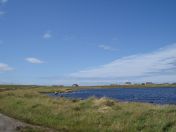 157.jpg - 2010:08:09 13:43:30