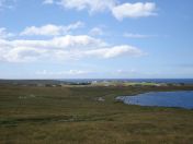 159.jpg - 2010:08:09 13:46:46