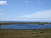160.jpg - 2010:08:09 13:46:52