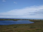 161.jpg - 2010:08:09 13:46:58