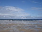 229.jpg - 2010:08:10 11:35:23