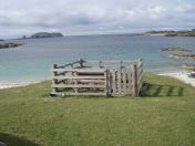 278.jpg - 2010:08:10 15:46:06