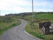 316.jpg - 2010:08:11 14:45:45