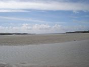 322.jpg - 2010:08:11 15:19:22