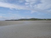 323.jpg - 2010:08:11 15:19:28