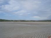 324.jpg - 2010:08:11 15:19:34