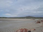 325.jpg - 2010:08:11 15:19:39