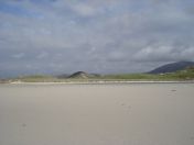 337.jpg - 2010:08:11 16:07:42