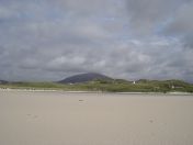 338.jpg - 2010:08:11 16:07:47