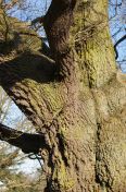 057.jpg - 2011:03:19 16:01:22