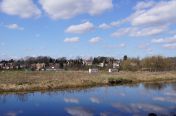 043.jpg - 2011:03:19 12:21:14