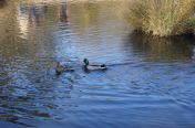 053.jpg - 2011:03:19 15:57:05