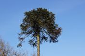 058.jpg - 2011:03:19 16:03:43