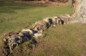 059.jpg - 2011:03:19 16:04:14