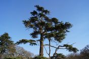 060.jpg - 2011:03:19 16:08:19