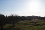 078.jpg - 2011:03:19 16:26:43