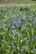 17.jpg - 2011:03:24 13:28:29