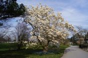 08.jpg - 2011:03:24 13:19:56