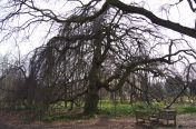 14.jpg - 2011:03:24 13:25:09