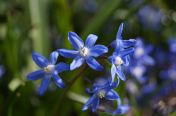 19.jpg - 2011:03:24 13:31:30