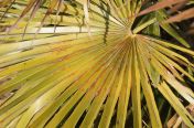 30.jpg - 2011:03:24 13:48:17