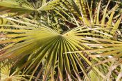 31.jpg - 2011:03:24 13:48:32