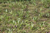 41.jpg - 2011:03:24 14:08:14