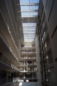 533.jpg - 2011:06:19 14:00:04