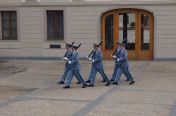 111.jpg - 2011:06:15 14:58:44