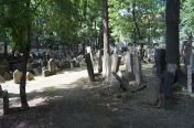 423.jpg - 2011:06:17 13:24:25