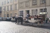 448.jpg - 2011:06:17 15:22:49