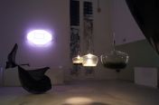 477.jpg - 2011:06:19 09:47:18