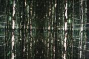 478.jpg - 2011:06:19 09:55:11