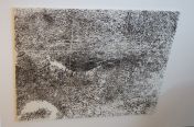 487.jpg - 2011:06:19 10:33:25
