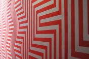 493.jpg - 2011:06:19 10:49:13