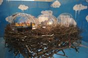 537.jpg - 2011:06:19 14:02:34