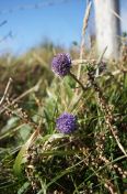 278.jpg - 2011:10:07 11:57:49