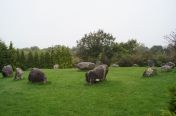 029.jpg - 2011:10:02 11:57:57