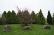 030.jpg - 2011:10:02 11:58:48