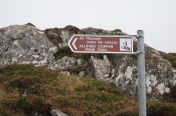 089.jpg - 2011:10:03 15:45:20