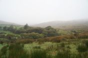 123.jpg - 2011:10:04 12:14:07
