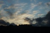 203.jpg - 2011:10:05 17:47:13
