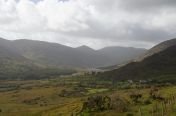219.jpg - 2011:10:06 11:42:43