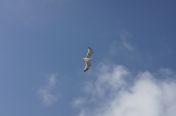 252.jpg - 2011:10:07 09:58:12