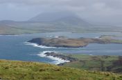 261.jpg - 2011:10:07 10:47:35