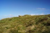 263.jpg - 2011:10:07 10:53:29